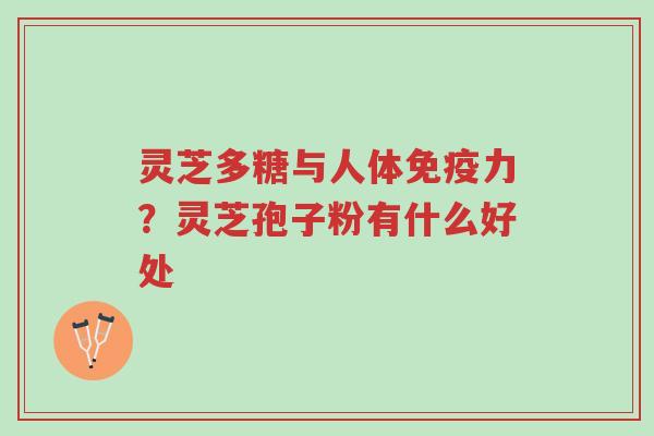 灵芝多糖与人体免疫力?灵芝孢子粉有什么好处-第1张图片-超越 灵芝多糖与人体免疫力?灵芝孢子粉有什么好处-第1张图片-超越