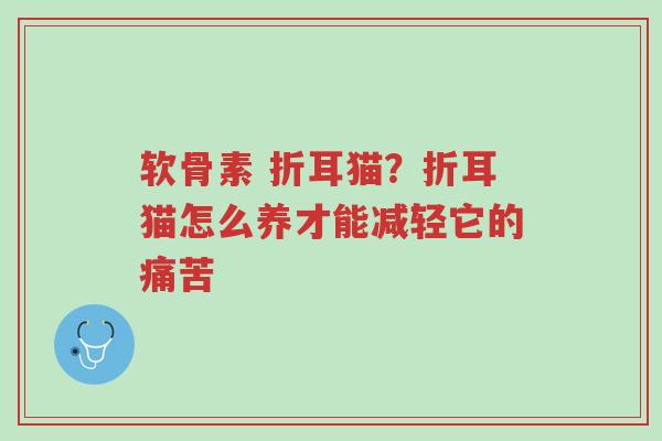 软骨素 折耳猫?折耳猫怎么养才能减轻它的痛苦-第1张图片-超越 软骨素 折耳猫?折耳猫怎么养才能减轻它的痛苦-第1张图片-超越