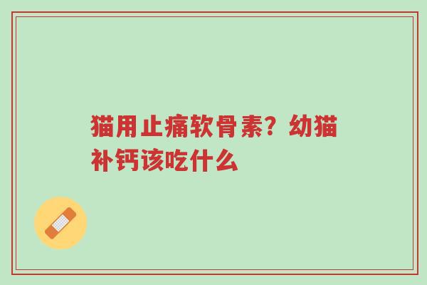 猫用止痛软骨素？幼猫补钙该吃什么-第1张图片-超越