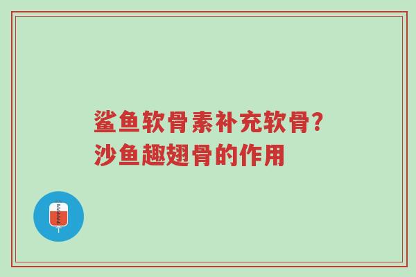 鲨鱼软骨素补充软骨?沙鱼趣翅骨的作用-第1张图片-超越 鲨鱼软骨素补充软骨?沙鱼趣翅骨的作用-第1张图片-超越