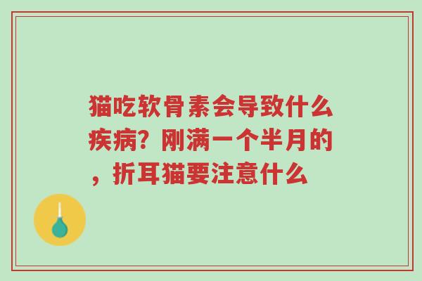 猫吃软骨素会导致什么疾病?刚满一个半月的,折耳猫要注意什么-第1张图片-超越 猫吃软骨素会导致什么疾病?刚满一个半月的,折耳猫要注意什么-第1张图片-超越
