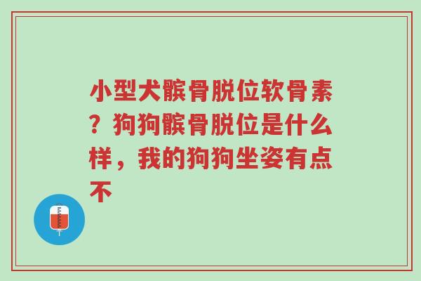 小型犬髌骨脱位软骨素?狗狗髌骨脱位是什么样,我的狗狗坐姿有点不-第1张图片-超越 小型犬髌骨脱位软骨素?狗狗髌骨脱位是什么样,我的狗狗坐姿有点不-第1张图片-超越