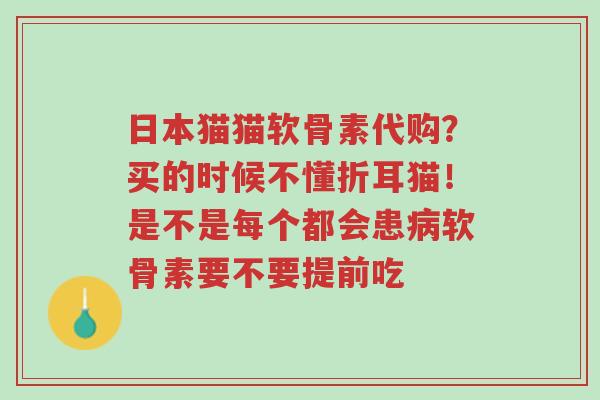 日本猫猫软骨素代购？买的时候不懂折耳猫！是不是每个都会患病软骨素要不要提前吃-第1张图片-超越