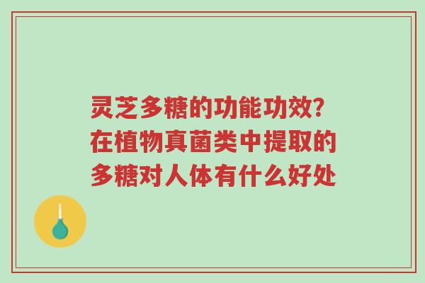 灵芝多糖的功能功效?在植物真菌类中提取的多糖对人体有什么好处-第1张图片-超越 灵芝多糖的功能功效?在植物真菌类中提取的多糖对人体有什么好处-第1张图片-超越