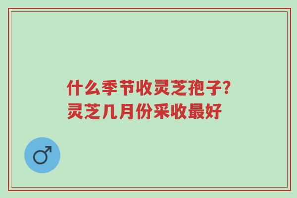 什么季节收灵芝孢子?灵芝几月份采收最好-第1张图片-超越 什么季节收灵芝孢子?灵芝几月份采收最好-第1张图片-超越