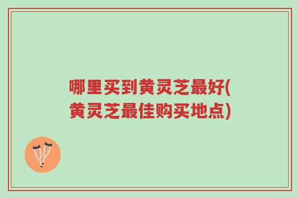 哪里买到黄灵芝最好(黄灵芝最佳购买地点)-第1张图片-超越 哪里买到黄灵芝最好(黄灵芝最佳购买地点)-第1张图片-超越