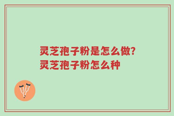 灵芝孢子粉是怎么做?灵芝孢子粉怎么种-第1张图片-超越 灵芝孢子粉是怎么做?灵芝孢子粉怎么种-第1张图片-超越