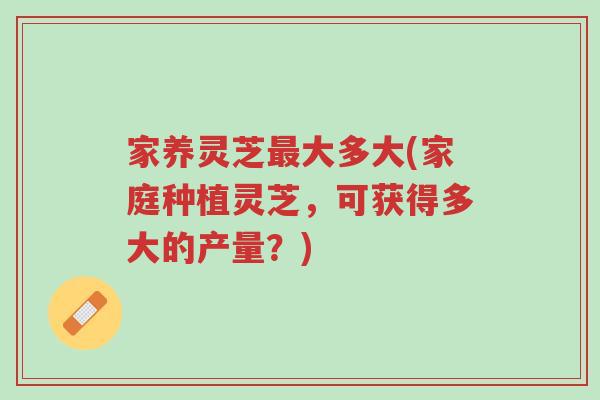 家养灵芝最大多大(家庭种植灵芝,可获得多大的产量?)-第1张图片-超越 家养灵芝最大多大(家庭种植灵芝,可获得多大的产量?)-第1张图片-超越