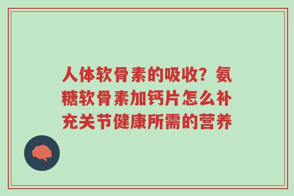 人体软骨素的吸收?氨糖软骨素加钙片怎么补充关节健康所需的营养-第1张图片-超越 人体软骨素的吸收?氨糖软骨素加钙片怎么补充关节健康所需的营养-第1张图片-超越