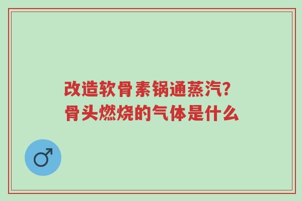改造软骨素锅通蒸汽?骨头燃烧的气体是什么-第1张图片-超越 改造软骨素锅通蒸汽?骨头燃烧的气体是什么-第1张图片-超越