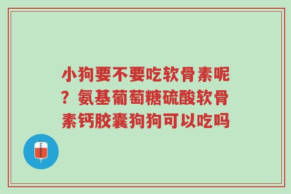 小狗要不要吃软骨素呢?氨基葡萄糖硫酸软骨素钙胶囊狗狗可以吃吗-第1张图片-超越 小狗要不要吃软骨素呢?氨基葡萄糖硫酸软骨素钙胶囊狗狗可以吃吗-第1张图片-超越