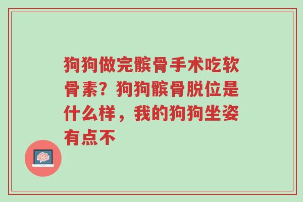 狗狗做完髌骨手术吃软骨素?狗狗髌骨脱位是什么样,我的狗狗坐姿有点不-第1张图片-超越 狗狗做完髌骨手术吃软骨素?狗狗髌骨脱位是什么样,我的狗狗坐姿有点不-第1张图片-超越
