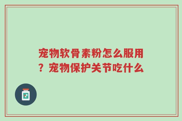 宠物软骨素粉怎么服用?宠物保护关节吃什么-第1张图片-超越 宠物软骨素粉怎么服用?宠物保护关节吃什么-第1张图片-超越