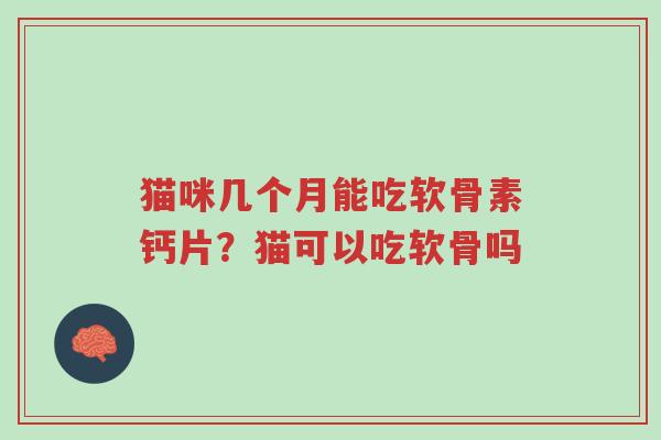 猫咪几个月能吃软骨素钙片?猫可以吃软骨吗-第1张图片-超越 猫咪几个月能吃软骨素钙片?猫可以吃软骨吗-第1张图片-超越