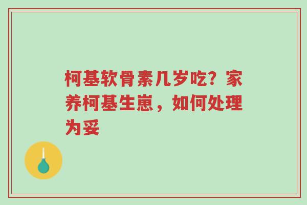 柯基软骨素几岁吃?家养柯基生崽,如何处理为妥-第1张图片-超越 柯基软骨素几岁吃?家养柯基生崽,如何处理为妥-第1张图片-超越