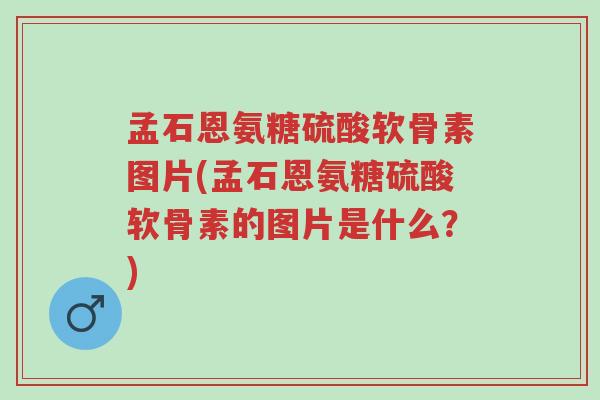 孟石恩氨糖硫酸软骨素图片(孟石恩氨糖硫酸软骨素的图片是什么?)-第1张图片-超越 孟石恩氨糖硫酸软骨素图片(孟石恩氨糖硫酸软骨素的图片是什么?)-第1张图片-超越