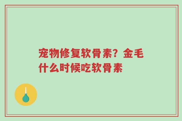 宠物修复软骨素?金毛什么时候吃软骨素-第1张图片-超越 宠物修复软骨素?金毛什么时候吃软骨素-第1张图片-超越