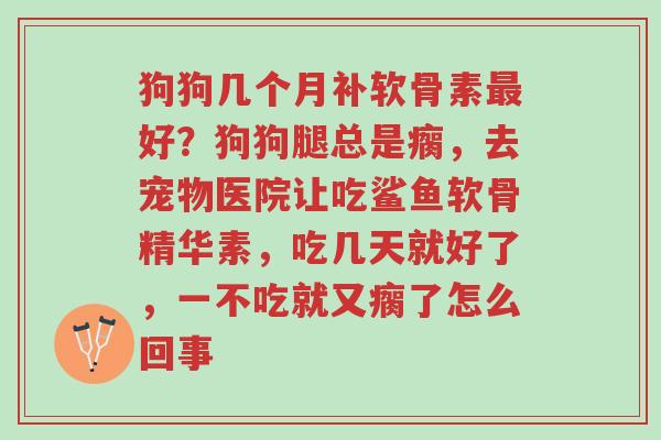 狗狗几个月补软骨素最好?狗狗腿总是瘸,去宠物医院让吃鲨鱼软骨精华素,吃几天就好了,一不吃就又瘸了怎么回事-第1张图片-超越 狗狗几个月补软骨素最好?狗狗腿总是瘸,去宠物医院让吃鲨鱼软骨精华素,吃几天就好了,一不吃就又瘸了怎么回事-第1张图片-超越