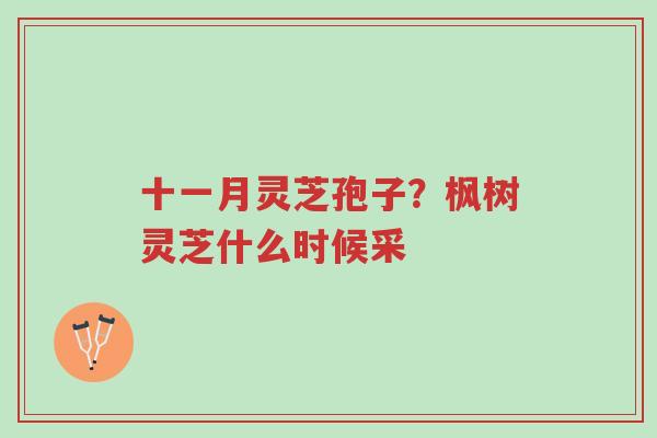 十一月灵芝孢子?枫树灵芝什么时候采-第1张图片-超越 十一月灵芝孢子?枫树灵芝什么时候采-第1张图片-超越