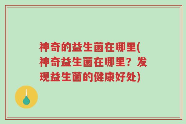 神奇的益生菌在哪里(神奇益生菌在哪里?发现益生菌的健康好处)-第1张图片-超越 神奇的益生菌在哪里(神奇益生菌在哪里?发现益生菌的健康好处)-第1张图片-超越