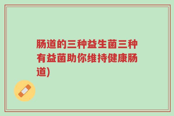 肠道的三种益生菌三种有益菌助你维持健康肠道)-第1张图片-超越 肠道的三种益生菌三种有益菌助你维持健康肠道)-第1张图片-超越