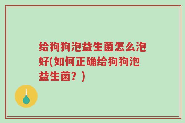 给狗狗泡益生菌怎么泡好(如何正确给狗狗泡益生菌？)-第1张图片-超越