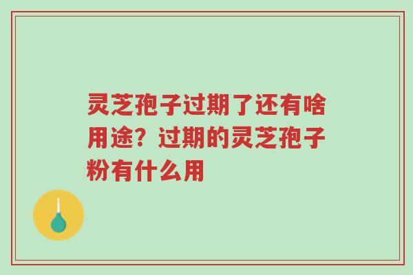 灵芝孢子过期了还有啥用途?过期的灵芝孢子粉有什么用-第1张图片-超越 灵芝孢子过期了还有啥用途?过期的灵芝孢子粉有什么用-第1张图片-超越