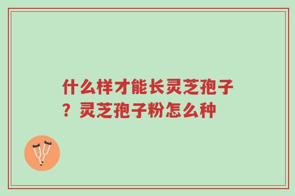 什么样才能长灵芝孢子?灵芝孢子粉怎么种-第1张图片-超越 什么样才能长灵芝孢子?灵芝孢子粉怎么种-第1张图片-超越