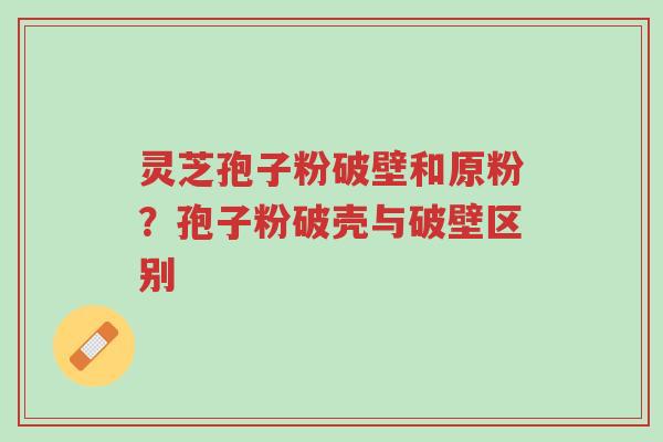 灵芝孢子粉破壁和原粉?孢子粉破壳与破壁区别-第1张图片-超越 灵芝孢子粉破壁和原粉?孢子粉破壳与破壁区别-第1张图片-超越