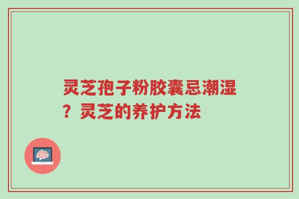 灵芝孢子粉胶囊忌潮湿?灵芝的养护方法-第1张图片-超越 灵芝孢子粉胶囊忌潮湿?灵芝的养护方法-第1张图片-超越