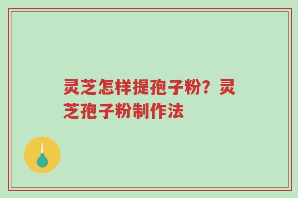 灵芝怎样提孢子粉?灵芝孢子粉制作法-第1张图片-超越 灵芝怎样提孢子粉?灵芝孢子粉制作法-第1张图片-超越