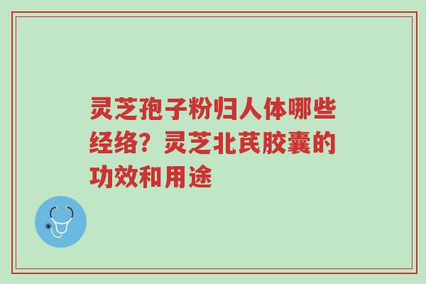 灵芝孢子粉归人体哪些经络?灵芝北芪胶囊的功效和用途-第1张图片-超越 灵芝孢子粉归人体哪些经络?灵芝北芪胶囊的功效和用途-第1张图片-超越