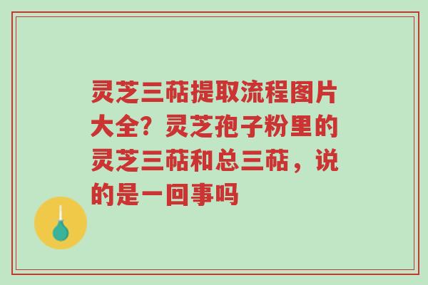 灵芝三萜提取流程图片大全?灵芝孢子粉里的灵芝三萜和总三萜,说的是一回事吗-第1张图片-超越 灵芝三萜提取流程图片大全?灵芝孢子粉里的灵芝三萜和总三萜,说的是一回事吗-第1张图片-超越