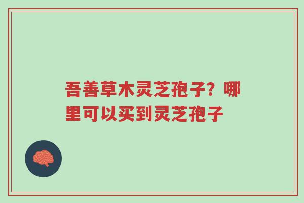吾善草木灵芝孢子?哪里可以买到灵芝孢子-第1张图片-超越 吾善草木灵芝孢子?哪里可以买到灵芝孢子-第1张图片-超越