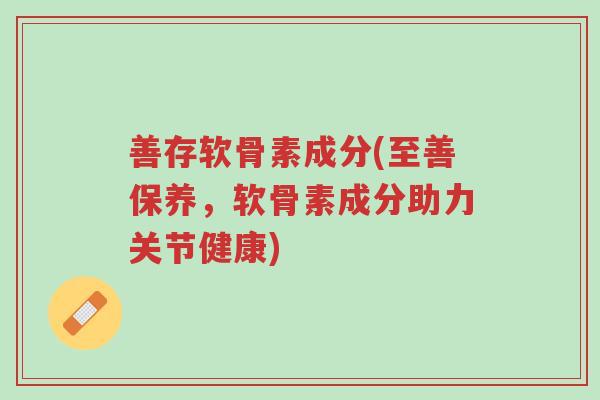 善存软骨素成分(至善保养,软骨素成分助力关节健康)-第1张图片-超越 善存软骨素成分(至善保养,软骨素成分助力关节健康)-第1张图片-超越