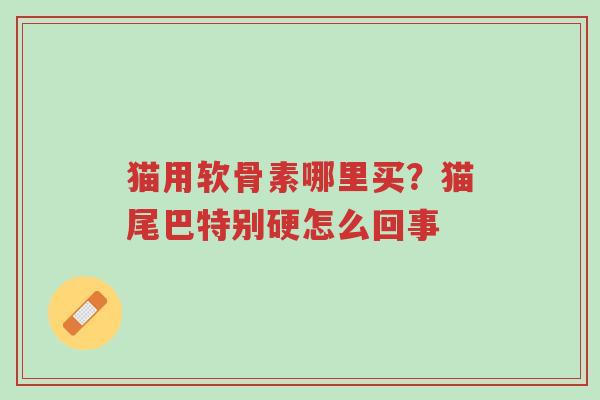猫用软骨素哪里买?猫尾巴特别硬怎么回事-第1张图片-超越 猫用软骨素哪里买?猫尾巴特别硬怎么回事-第1张图片-超越