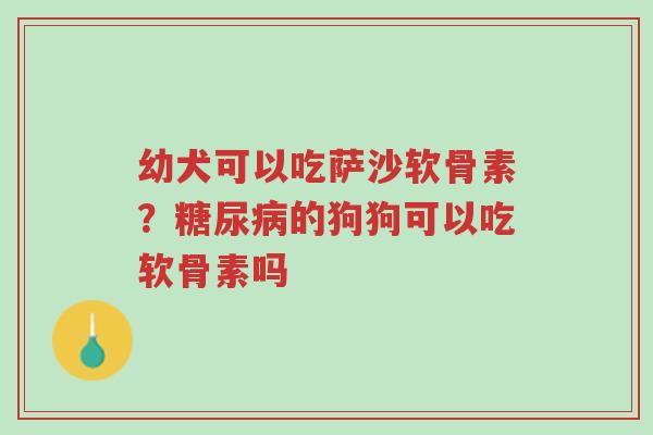 幼犬可以吃萨沙软骨素?糖尿病的狗狗可以吃软骨素吗-第1张图片-超越 幼犬可以吃萨沙软骨素?糖尿病的狗狗可以吃软骨素吗-第1张图片-超越