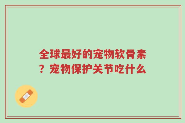 全球最好的宠物软骨素?宠物保护关节吃什么-第1张图片-超越 全球最好的宠物软骨素?宠物保护关节吃什么-第1张图片-超越