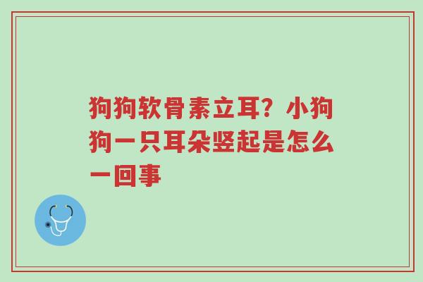 狗狗软骨素立耳?小狗狗一只耳朵竖起是怎么一回事-第1张图片-超越 狗狗软骨素立耳?小狗狗一只耳朵竖起是怎么一回事-第1张图片-超越