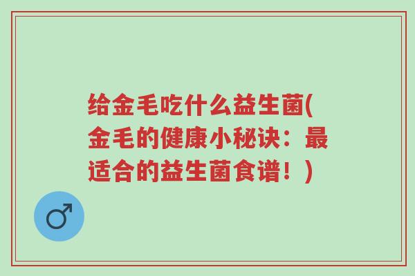 给金毛吃什么益生菌(金毛的健康小秘诀:最适合的益生菌食谱!)-第1张图片-超越 给金毛吃什么益生菌(金毛的健康小秘诀:最适合的益生菌食谱!)-第1张图片-超越