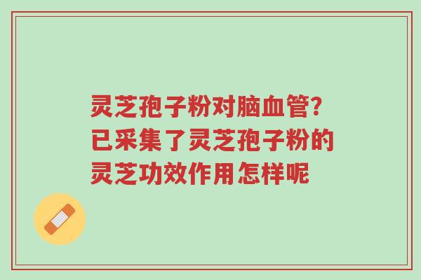 灵芝孢子粉对脑血管?已采集了灵芝孢子粉的灵芝功效作用怎样呢-第1张图片-超越 灵芝孢子粉对脑血管?已采集了灵芝孢子粉的灵芝功效作用怎样呢-第1张图片-超越