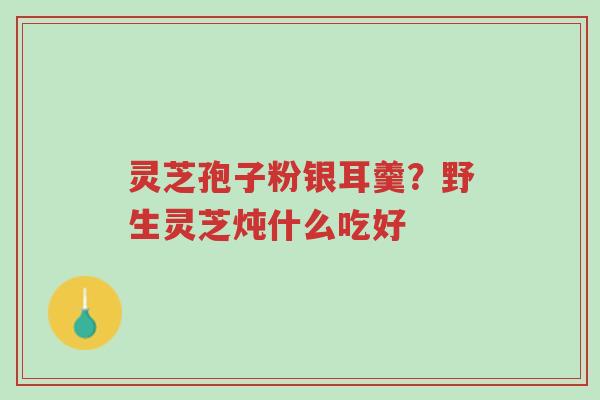 灵芝孢子粉银耳羹?野生灵芝炖什么吃好-第1张图片-超越 灵芝孢子粉银耳羹?野生灵芝炖什么吃好-第1张图片-超越