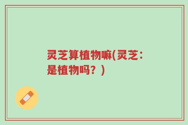 灵芝算植物嘛(灵芝:是植物吗?)-第1张图片-超越 灵芝算植物嘛(灵芝:是植物吗?)-第1张图片-超越