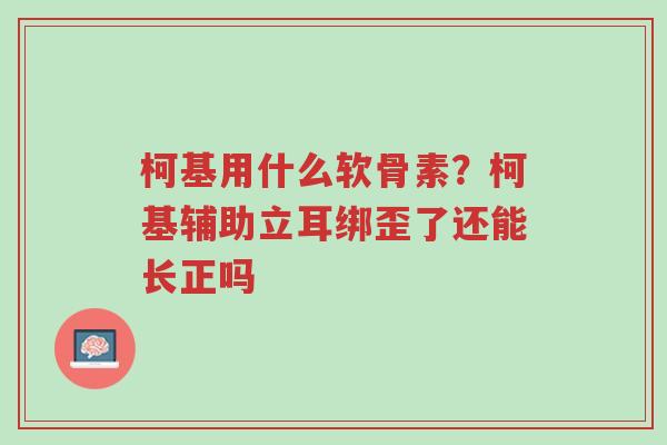 柯基用什么软骨素?柯基辅助立耳绑歪了还能长正吗-第1张图片-超越 柯基用什么软骨素?柯基辅助立耳绑歪了还能长正吗-第1张图片-超越