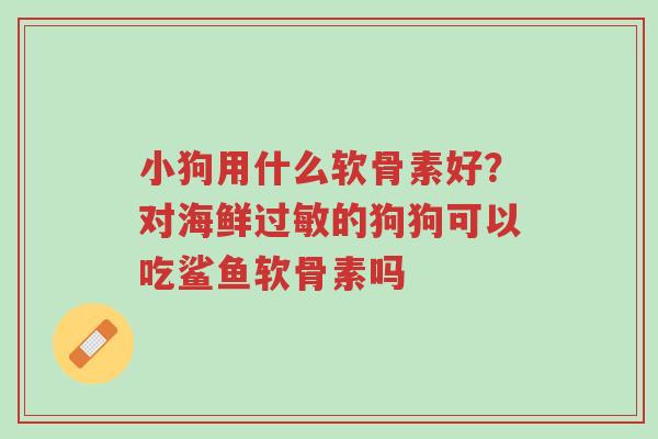 小狗用什么软骨素好?对海鲜过敏的狗狗可以吃鲨鱼软骨素吗-第1张图片-超越 小狗用什么软骨素好?对海鲜过敏的狗狗可以吃鲨鱼软骨素吗-第1张图片-超越