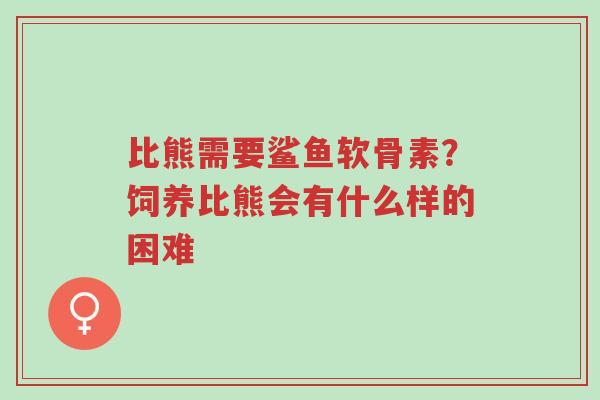 比熊需要鲨鱼软骨素?饲养比熊会有什么样的困难-第1张图片-超越 比熊需要鲨鱼软骨素?饲养比熊会有什么样的困难-第1张图片-超越