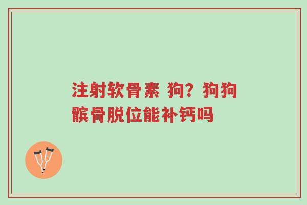 注射软骨素 狗?狗狗髌骨脱位能补钙吗-第1张图片-超越 注射软骨素 狗?狗狗髌骨脱位能补钙吗-第1张图片-超越