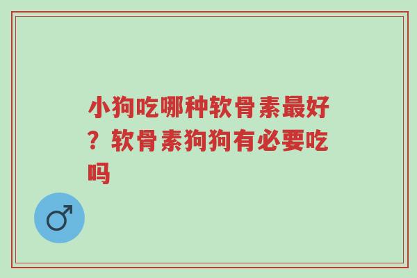 小狗吃哪种软骨素最好?软骨素狗狗有必要吃吗-第1张图片-超越 小狗吃哪种软骨素最好?软骨素狗狗有必要吃吗-第1张图片-超越