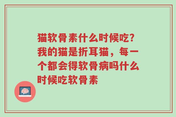 猫软骨素什么时候吃？我的猫是折耳猫，每一个都会得软骨病吗什么时候吃软骨素-第1张图片-超越