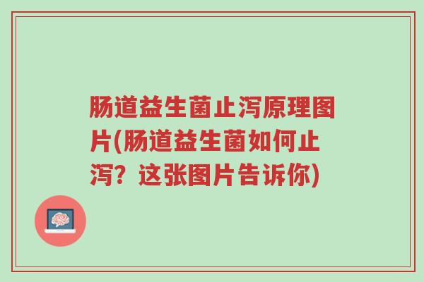 肠道益生菌止泻原理图片(肠道益生菌如何止泻?这张图片告诉你)-第1张图片-超越 肠道益生菌止泻原理图片(肠道益生菌如何止泻?这张图片告诉你)-第1张图片-超越